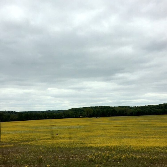 Meet your Posher, Hannah - Picture 1 of 1